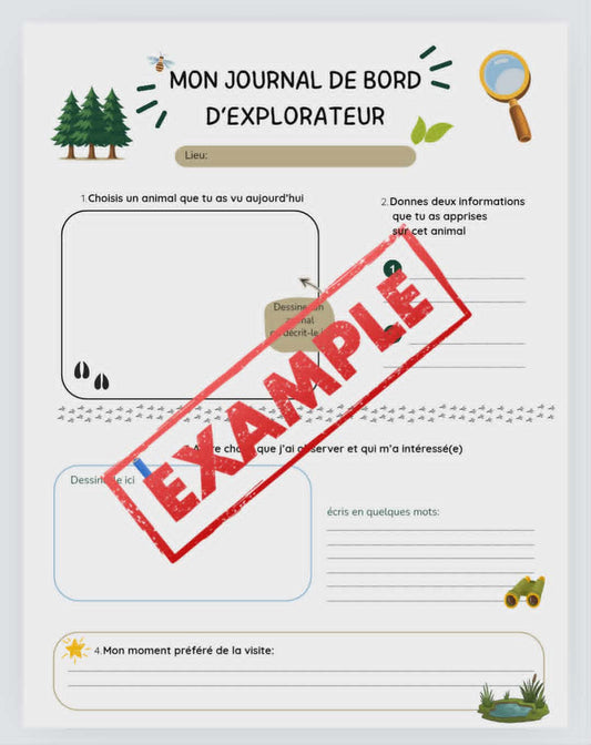 Mon carnet d'explorateur
